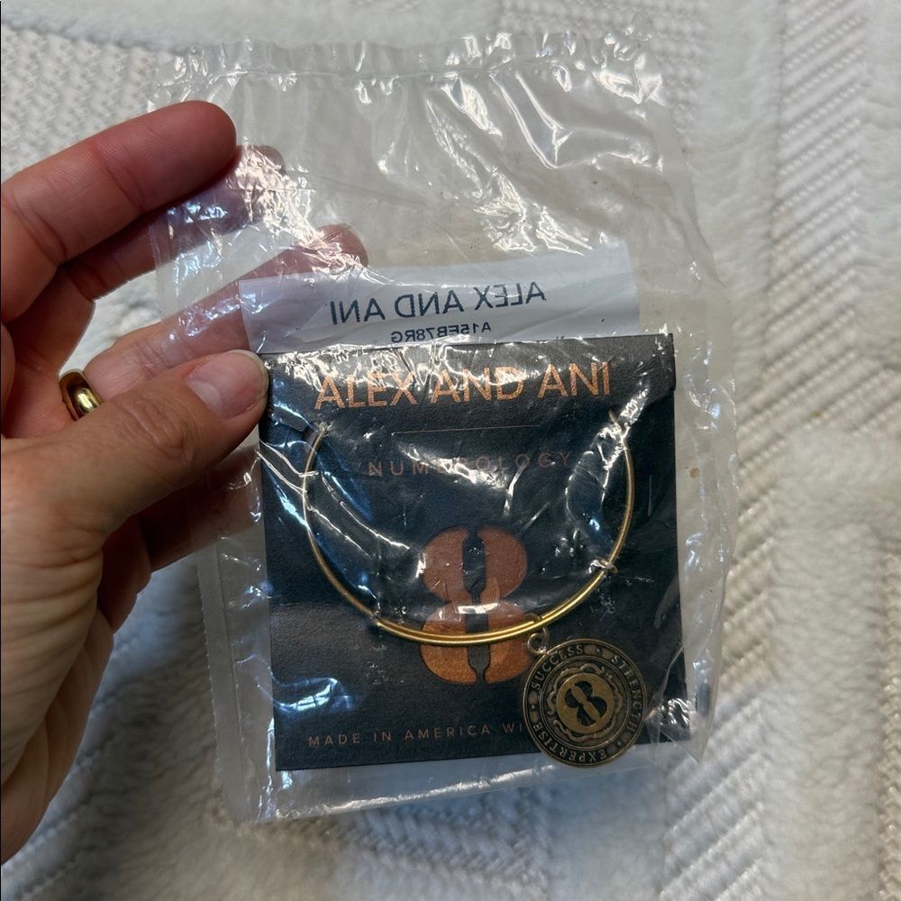 ALEX AND ANI NUMEROLOGY
